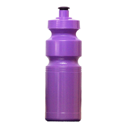 410mL Budget Bottle Purple